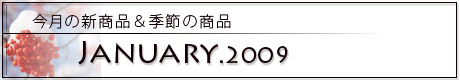 ̐Vi2009N1