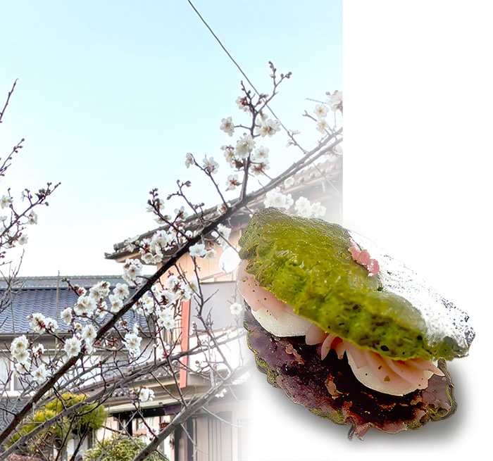 細田店スタッフのコラム