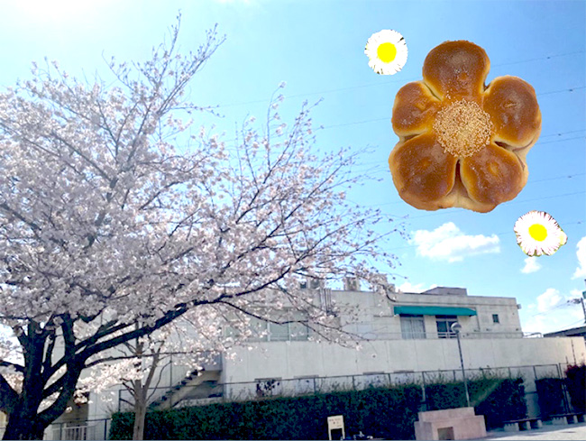 細田店スタッフのコラム