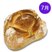 ブール